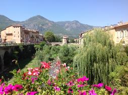 Provence Village Bridge and park