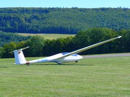 Colorful glider on the green meadow, near the green trees