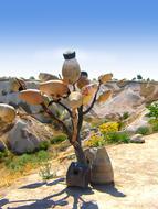 Beautiful tree with the pots, among the desert with the colorful plants