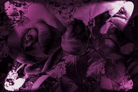 abstract image art drawing