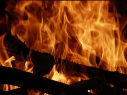 Fire Heat orange