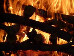 closeup view of Fire Heat Flame