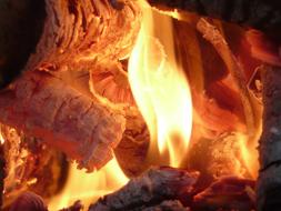 flame and Embers close up