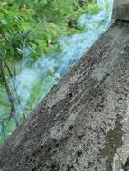 Leakage of the smoke, near the stone and green plants