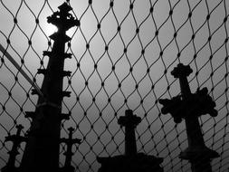 Towers Graves black and white