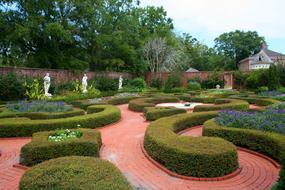 box-hedge in Formal Garden