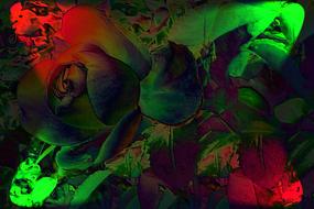 Flower Abstract Art banner drawing