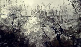 Glass Water drops Window