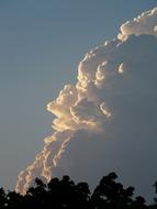 thick white clouds above the trees