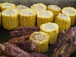 yellow Corn On The Cob Grilled Barbecue