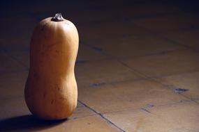 Pumpkin tall
