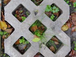 Abstract Concrete Stone square