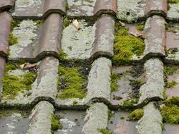 Old and mossy Roofing Tiles