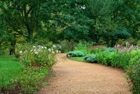 Gravel Sand Garden Path