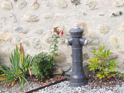 Hydrant Grey Fire stone wall
