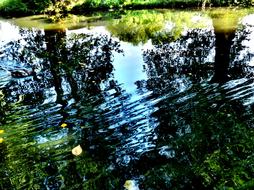 Beautiful water with the reflections on the colorful trees on the shore, in autumn