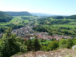 degenfeld forest panorama