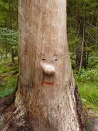 tree as a living character