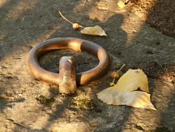 Metal Ring on stone