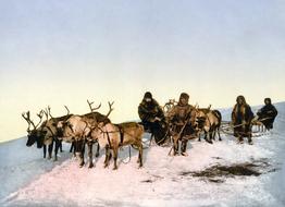 Reindeer Slide people