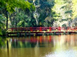 Beautiful landscape with the red bridge, above the swamp, among the Spanish moss, in sunlight
