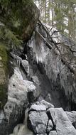 ice on a rock by a tree in winter