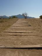 boards on an empty trail on a sunny day