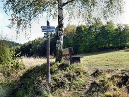 Away Information Tree sign