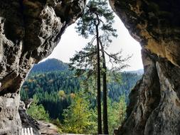 Small Stone Cave and tree