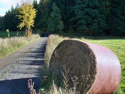 a stack of straw near the road