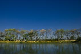 Reflection of trees on waterside at Morning