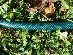 green Garden Hose on grass