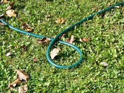 Garden Hose Irrigation on grass