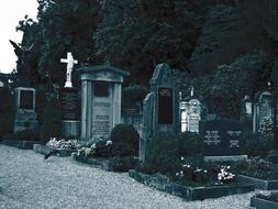 Black and white photo with the tombstones on the cemetery in the plants