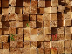 Bar Wooden Boards