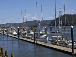 Fishing boats at the pier of Florence, Oregon, USA, near the mountains
