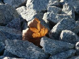 dry autumn leaf lies on pieces of granite