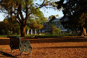 vintage Bench in park at fall