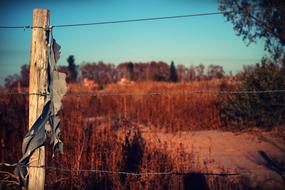 Barbed wire fence with cloth, among the colorful and beautiful plants on landscape