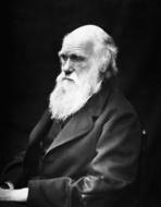 Black and white photo with the portrait of Charles Robert Darwin, with the beard