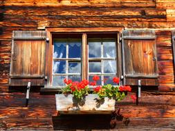 flowers near the window of a village house