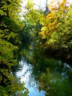 Autumn Mood Tree water