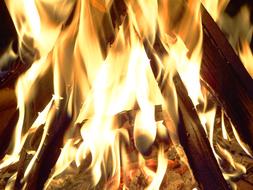 Close-up of the colorful, bright, burning fire with the wood