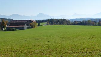 Autumn green grass meadow