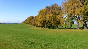 Allgau Autumn Leaves meadow