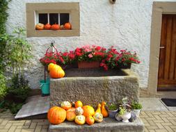 Floral Decorations Pumpkins