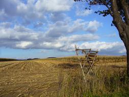 Beautiful landscape with the yellow, harvested cornfields