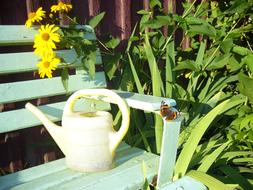 Watering Can on bench in garden