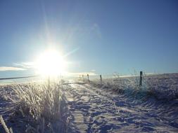 winter sun over a snowy field