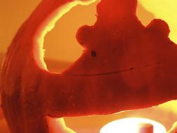 Halloween Pumpkin with candle inside, detail